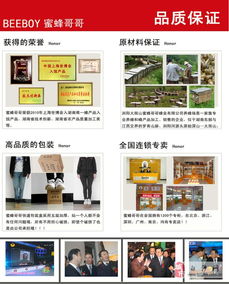 长沙养蜂技术咨询与培训 助力蜂农提升专业技能