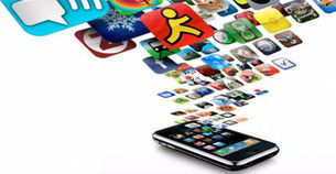 2013年全球应用收益或将达到250亿美元